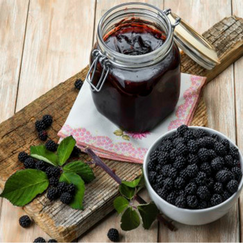 Karadut Pekmezi 1 KG